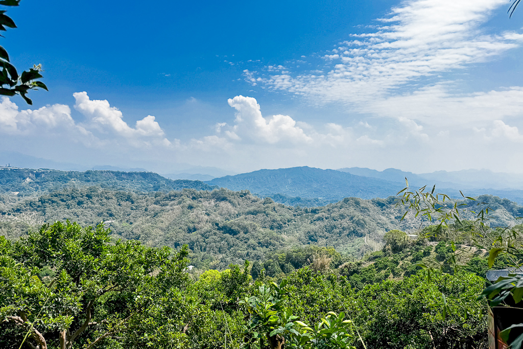 台中潭子｜新田登山步道．挑戰1063階木棧階梯．編號40小百岳聚興山 @飛天璇的口袋