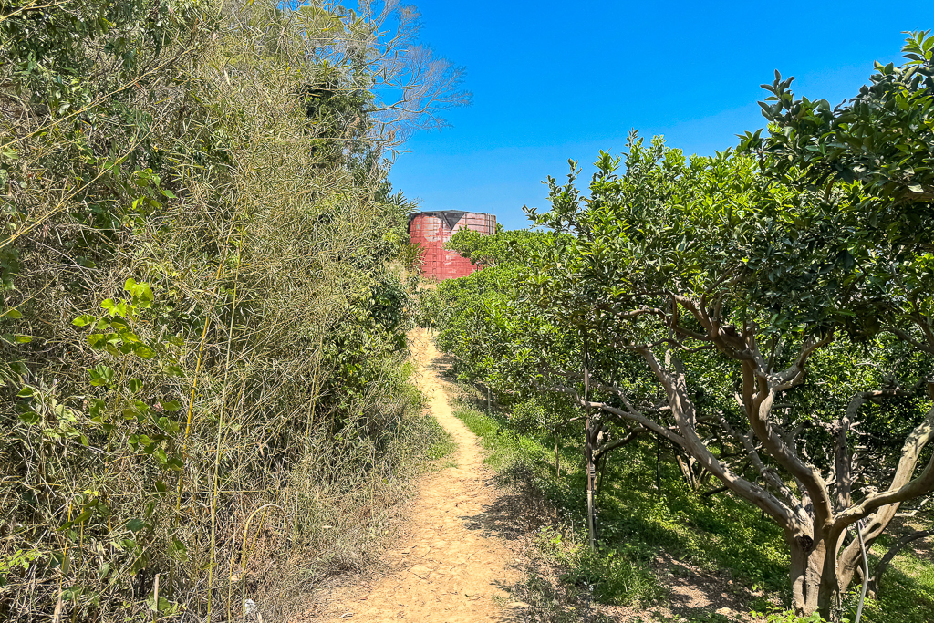 台中潭子｜新田登山步道．挑戰1063階木棧階梯．編號40小百岳聚興山 @飛天璇的口袋