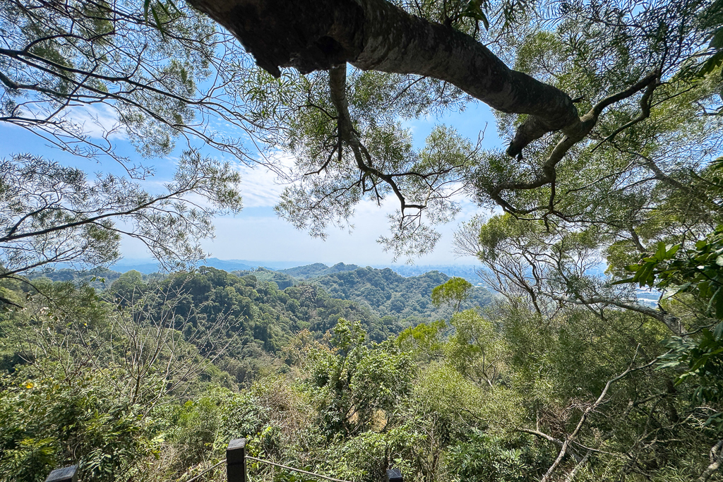 台中潭子｜新田登山步道．挑戰1063階木棧階梯．編號40小百岳聚興山 @飛天璇的口袋