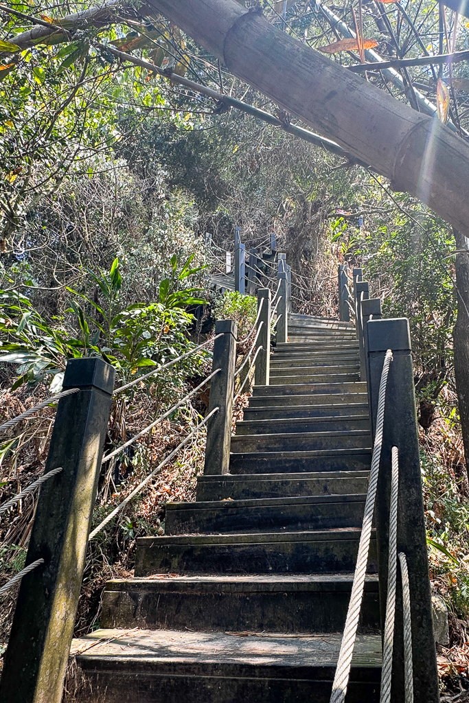 台中潭子｜新田登山步道．挑戰1063階木棧階梯．編號40小百岳聚興山 @飛天璇的口袋