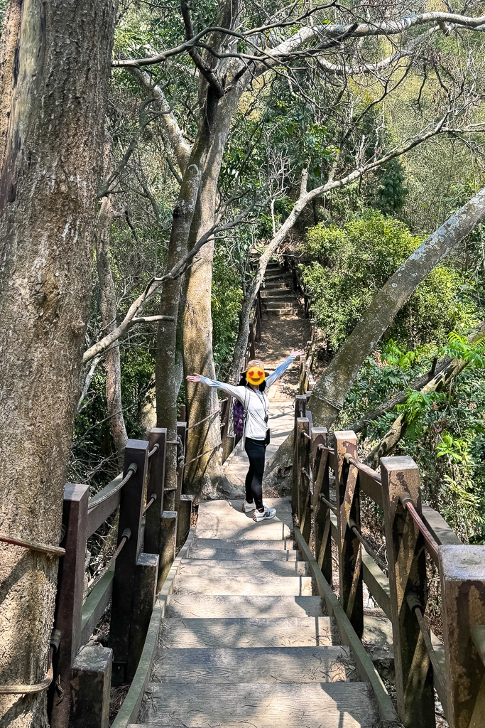 台中潭子｜新田登山步道．挑戰1063階木棧階梯．編號40小百岳聚興山 @飛天璇的口袋