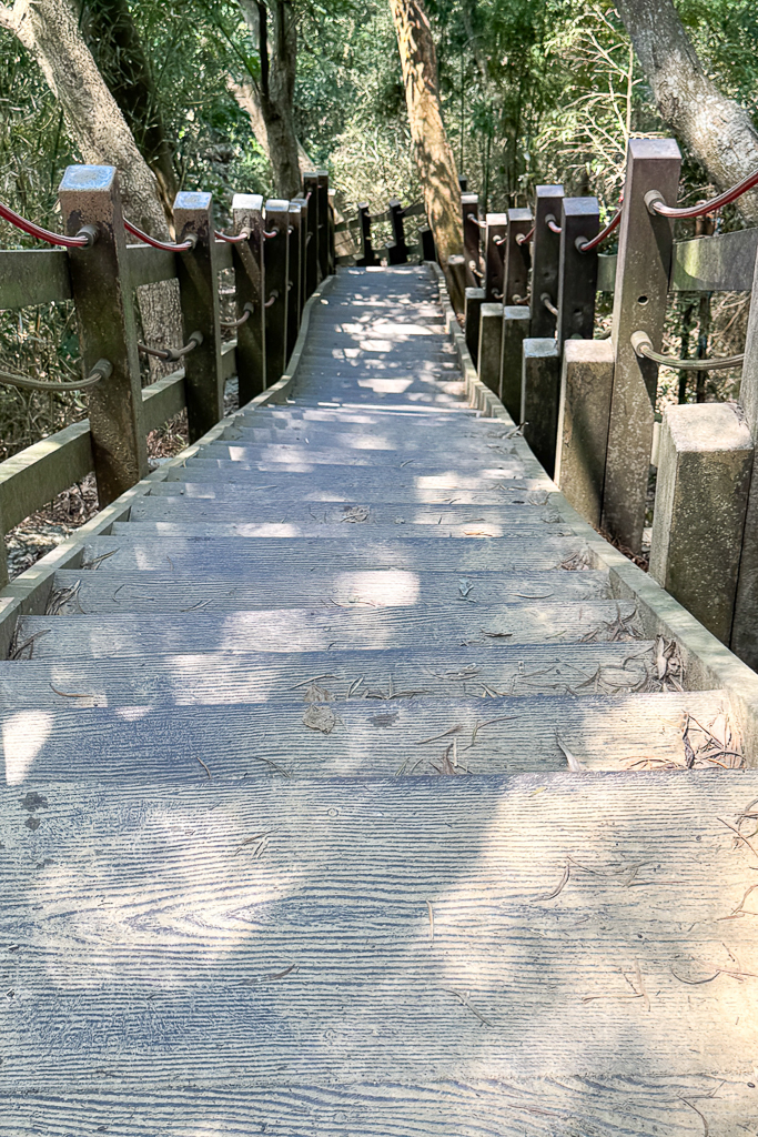 台中潭子｜新田登山步道．挑戰1063階木棧階梯．編號40小百岳聚興山 @飛天璇的口袋