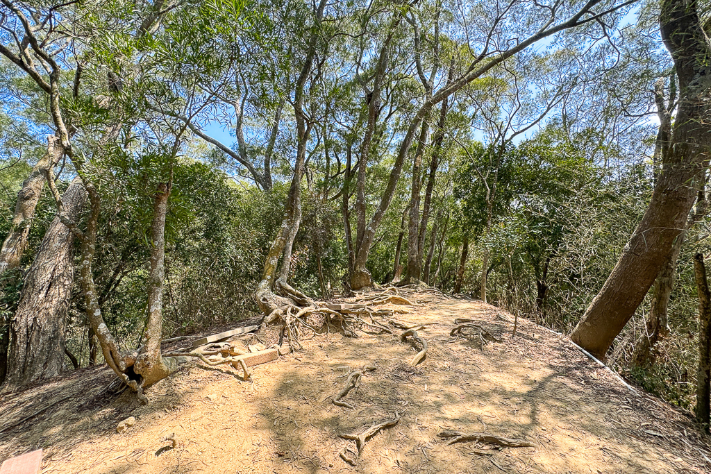 台中潭子｜新田登山步道．挑戰1063階木棧階梯．編號40小百岳聚興山 @飛天璇的口袋