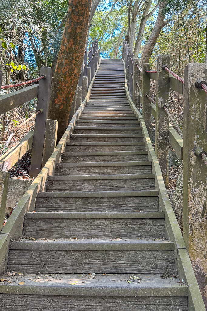 台中潭子｜新田登山步道．挑戰1063階木棧階梯．編號40小百岳聚興山 @飛天璇的口袋
