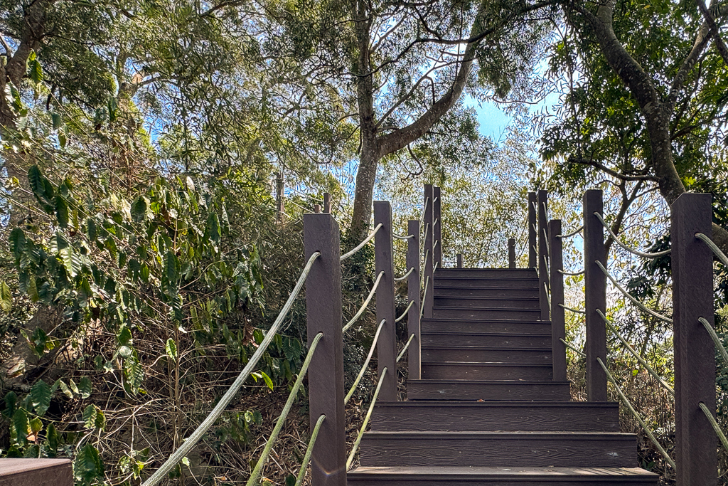 台中潭子｜新田登山步道．挑戰1063階木棧階梯．編號40小百岳聚興山 @飛天璇的口袋