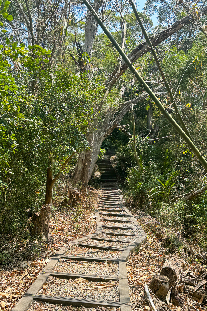 台中潭子｜新田登山步道．挑戰1063階木棧階梯．編號40小百岳聚興山 @飛天璇的口袋