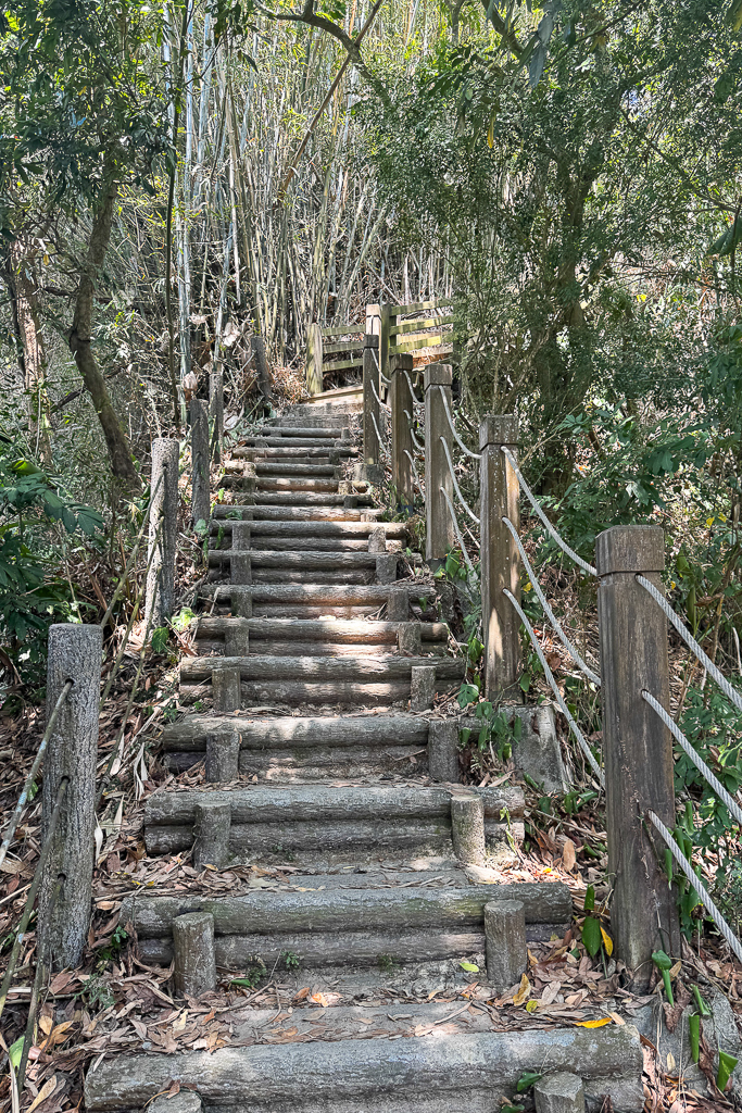 台中潭子｜新田登山步道．挑戰1063階木棧階梯．編號40小百岳聚興山 @飛天璇的口袋