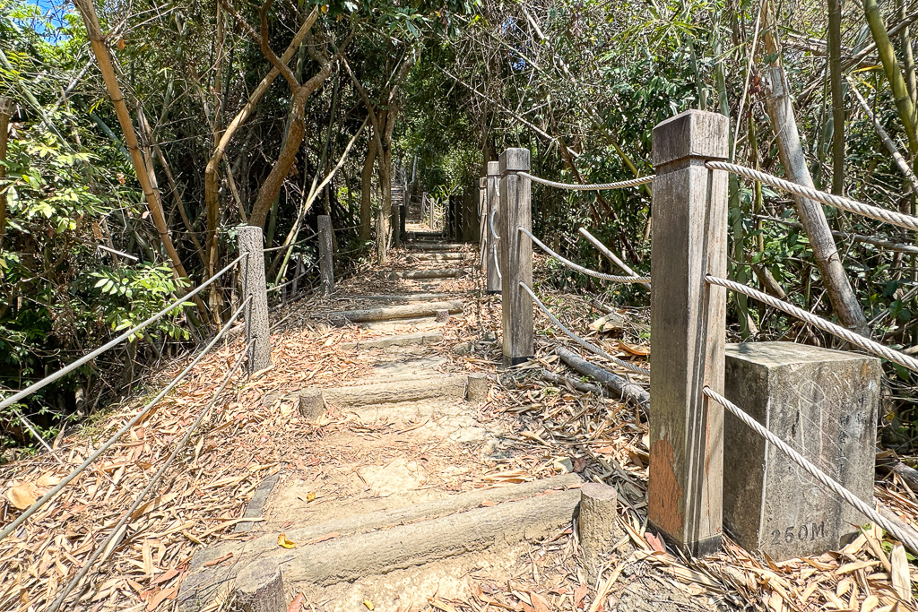 台中潭子｜新田登山步道．挑戰1063階木棧階梯．編號40小百岳聚興山 @飛天璇的口袋