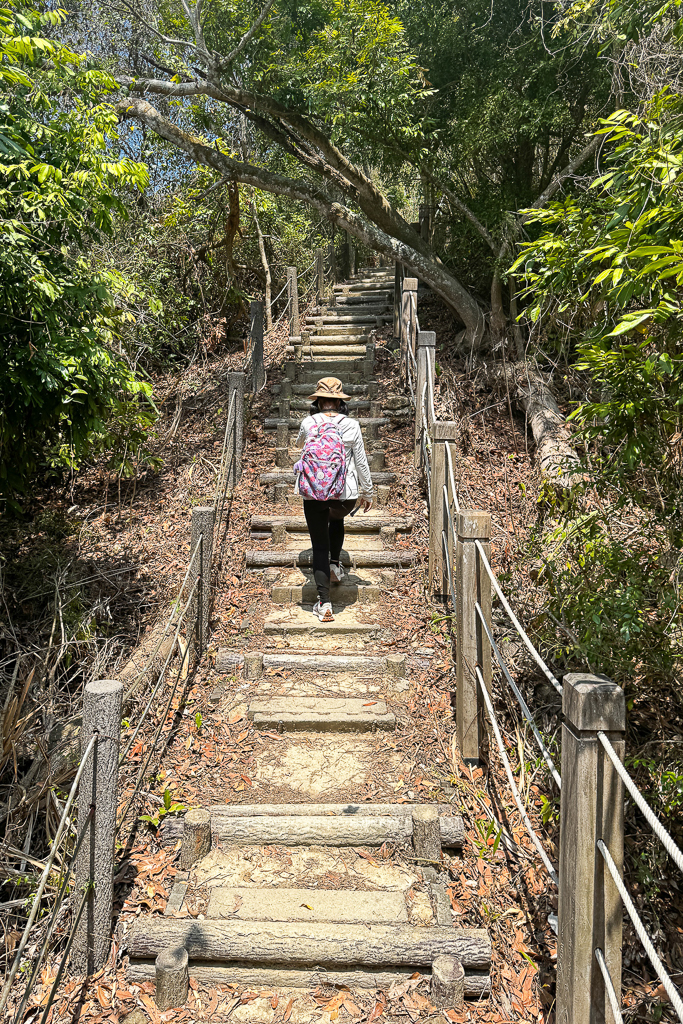 台中潭子｜新田登山步道．挑戰1063階木棧階梯．編號40小百岳聚興山 @飛天璇的口袋