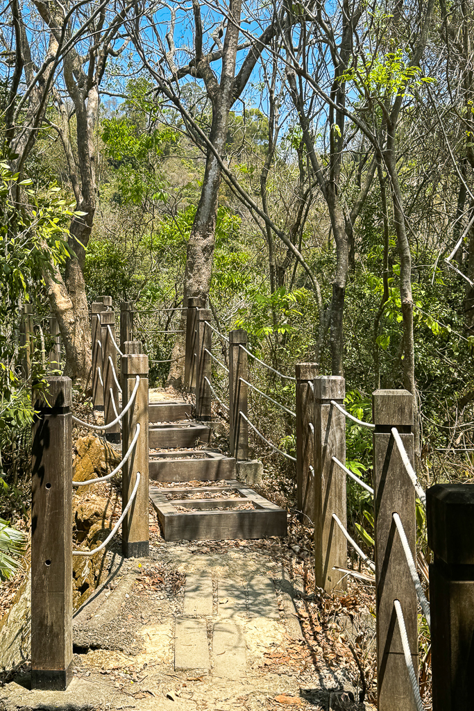 台中潭子｜新田登山步道．挑戰1063階木棧階梯．編號40小百岳聚興山 @飛天璇的口袋