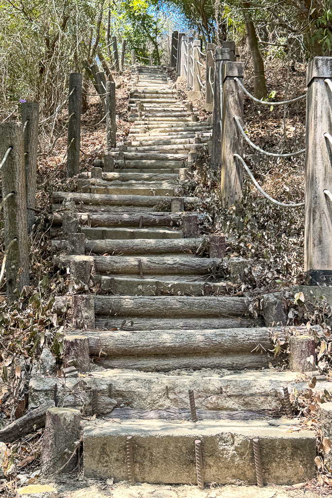 台中潭子｜新田登山步道．挑戰1063階木棧階梯．編號40小百岳聚興山 @飛天璇的口袋