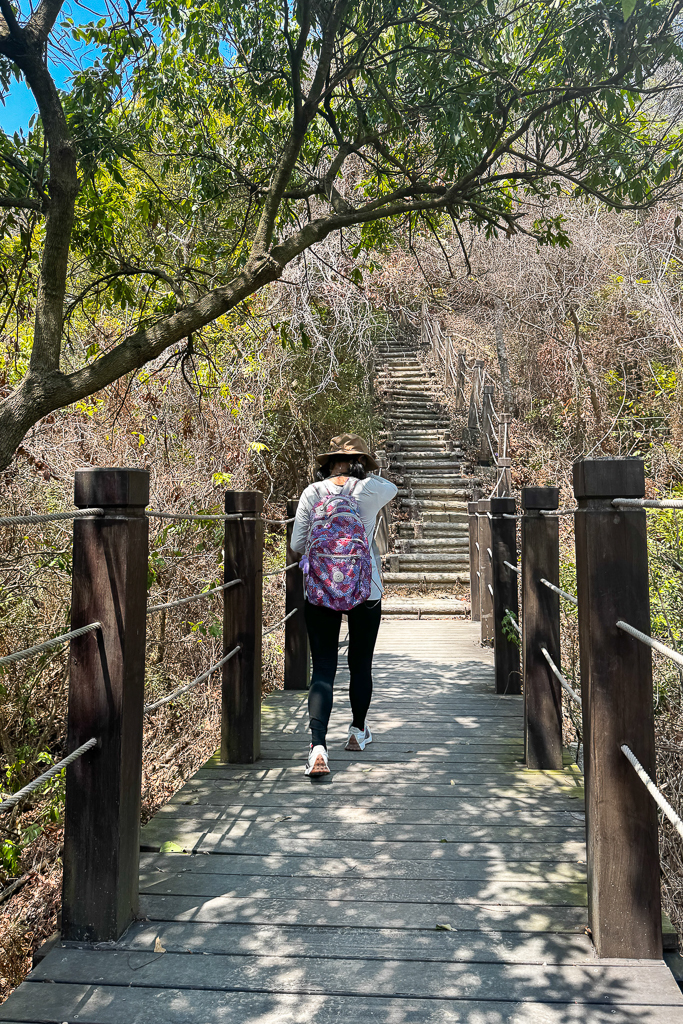 台中潭子｜新田登山步道．挑戰1063階木棧階梯．編號40小百岳聚興山 @飛天璇的口袋