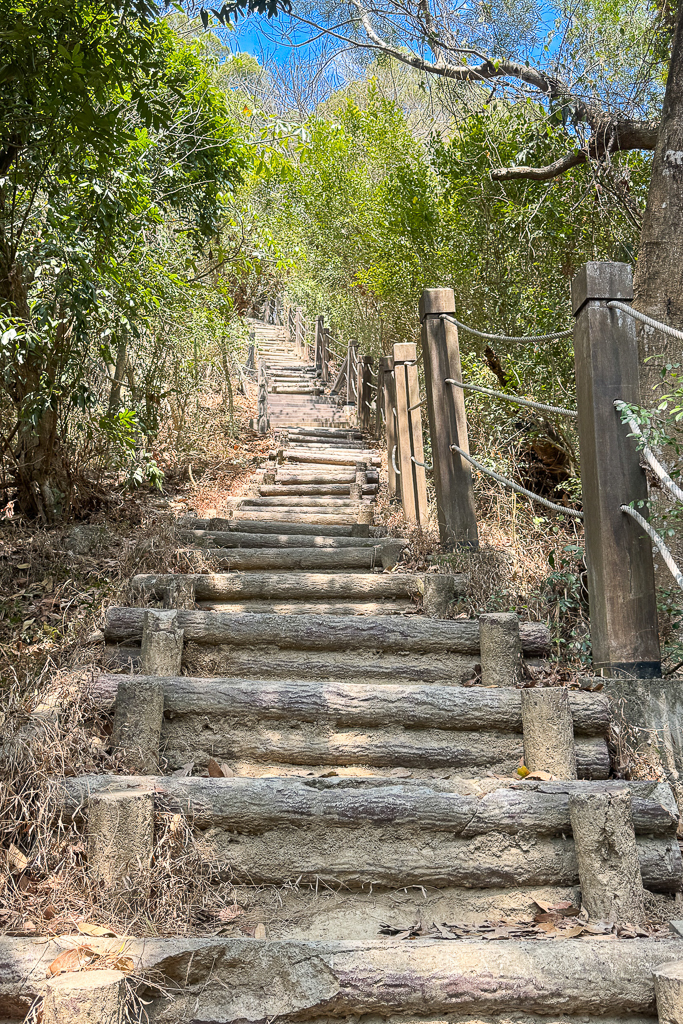 台中潭子｜新田登山步道．挑戰1063階木棧階梯．編號40小百岳聚興山 @飛天璇的口袋