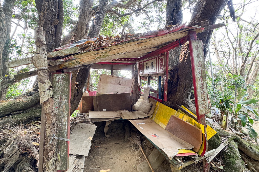 台中北屯｜南觀音山登山步道．編號42小百岳就在台中市區，必拍打卡點黃金佛手 @飛天璇的口袋