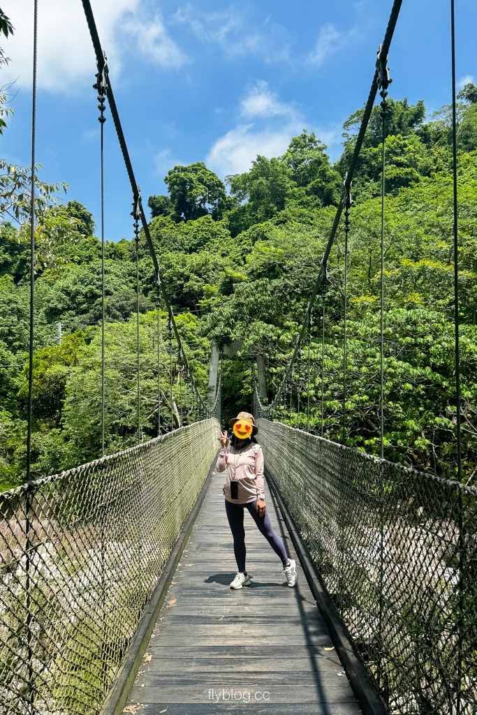 台中北屯｜大坑4號登山步道．33公尺繩索橋也太美，不愧為大坑魔王級步道 @飛天璇的口袋