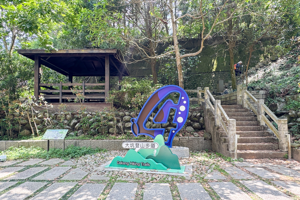 台中北屯｜大坑4號登山步道．33公尺繩索橋也太美，不愧為大坑魔王級步道 @飛天璇的口袋