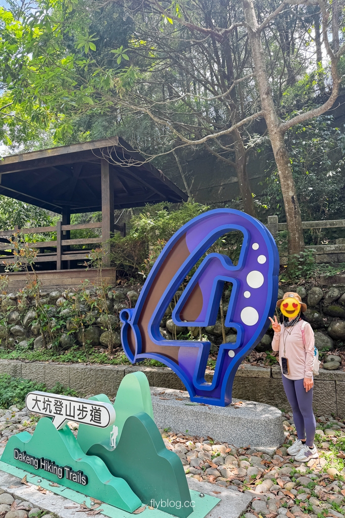 台中北屯｜大坑4號登山步道．33公尺繩索橋也太美，不愧為大坑魔王級步道 @飛天璇的口袋