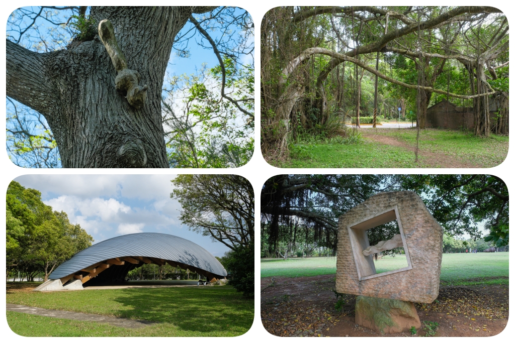桃園旅遊｜珍珠海岸景點大蒐集．劉克襄老師帶路，桃園海岸線專屬的浪漫旅行 @飛天璇的口袋