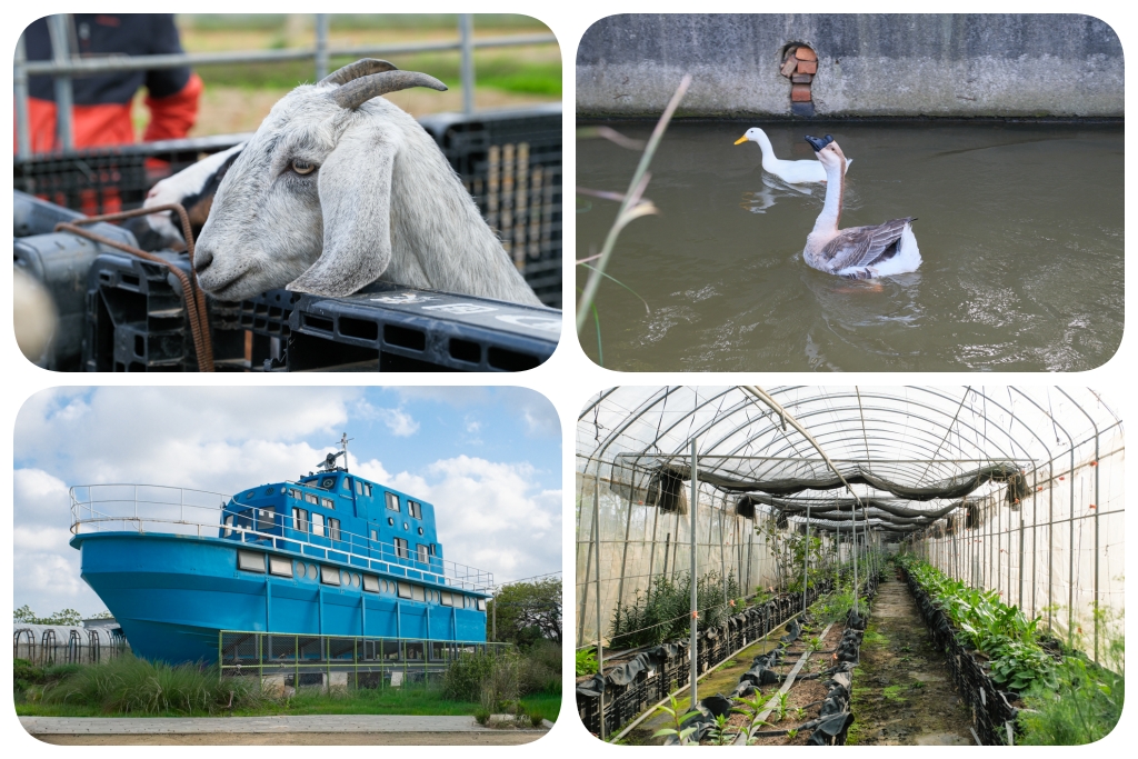桃園旅遊｜珍珠海岸景點大蒐集．劉克襄老師帶路，桃園海岸線專屬的浪漫旅行 @飛天璇的口袋