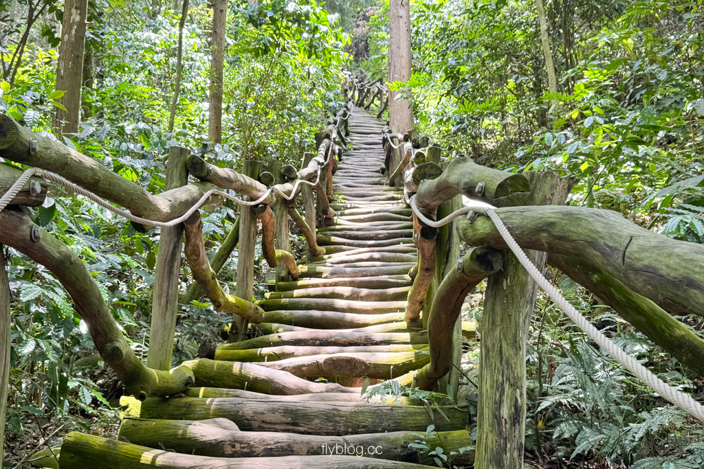 台中北屯｜大坑4號登山步道．33公尺繩索橋也太美，不愧為大坑魔王級步道 @飛天璇的口袋