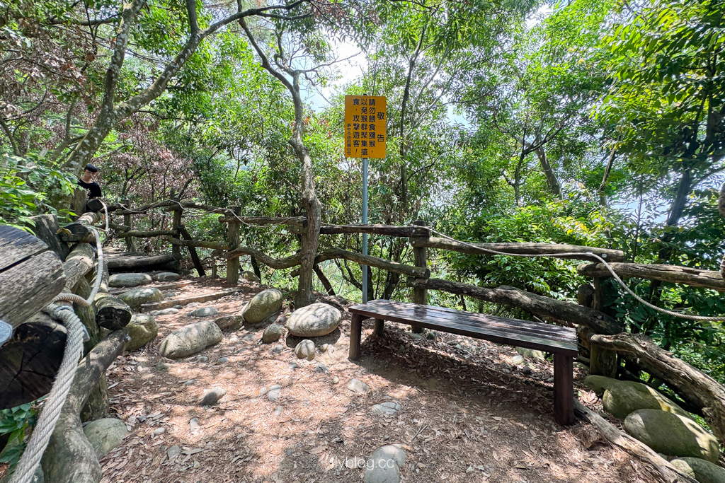台中北屯｜大坑4號登山步道．33公尺繩索橋也太美，不愧為大坑魔王級步道 @飛天璇的口袋