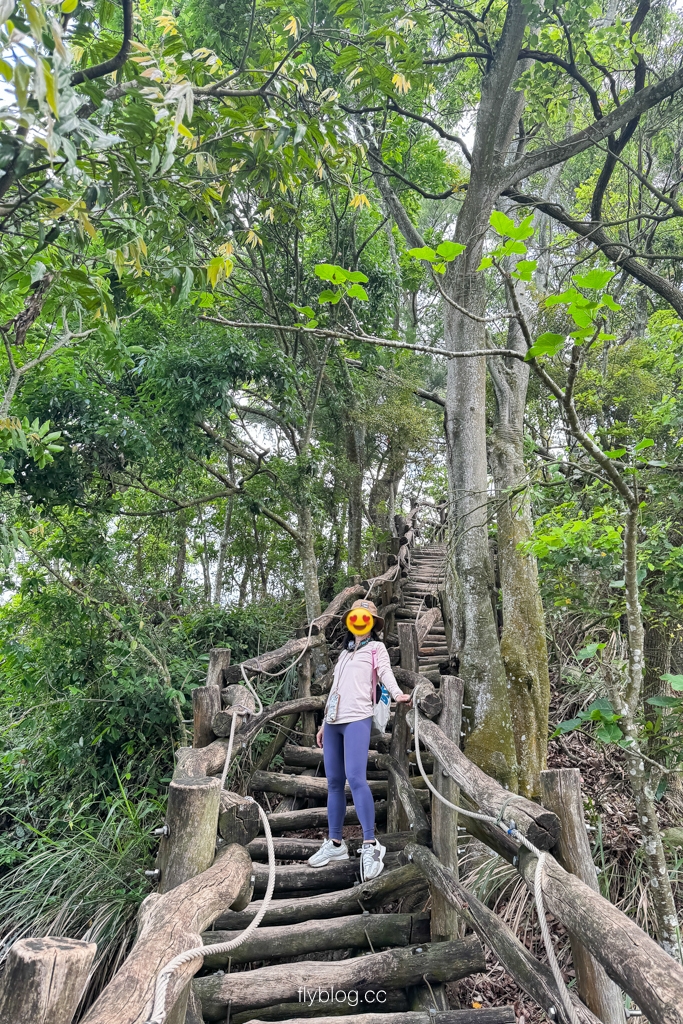 台中北屯｜大坑4號登山步道．33公尺繩索橋也太美，不愧為大坑魔王級步道 @飛天璇的口袋