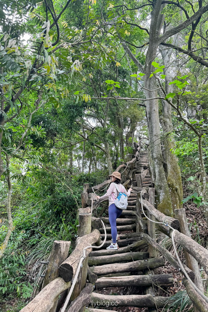 台中北屯｜大坑4號登山步道．33公尺繩索橋也太美，不愧為大坑魔王級步道 @飛天璇的口袋