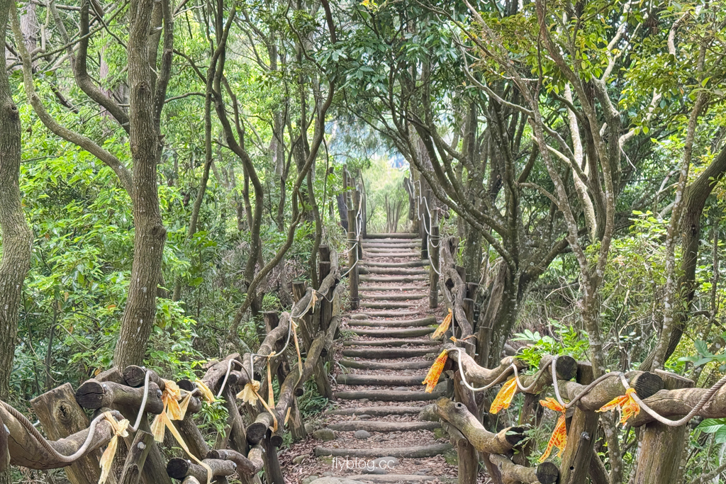 台中北屯｜大坑4號登山步道．33公尺繩索橋也太美，不愧為大坑魔王級步道 @飛天璇的口袋