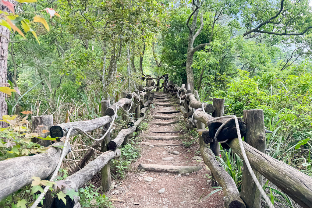 台中北屯｜大坑4號登山步道．33公尺繩索橋也太美，不愧為大坑魔王級步道 @飛天璇的口袋