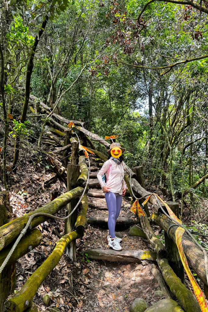 台中北屯｜大坑4號登山步道．33公尺繩索橋也太美，不愧為大坑魔王級步道 @飛天璇的口袋