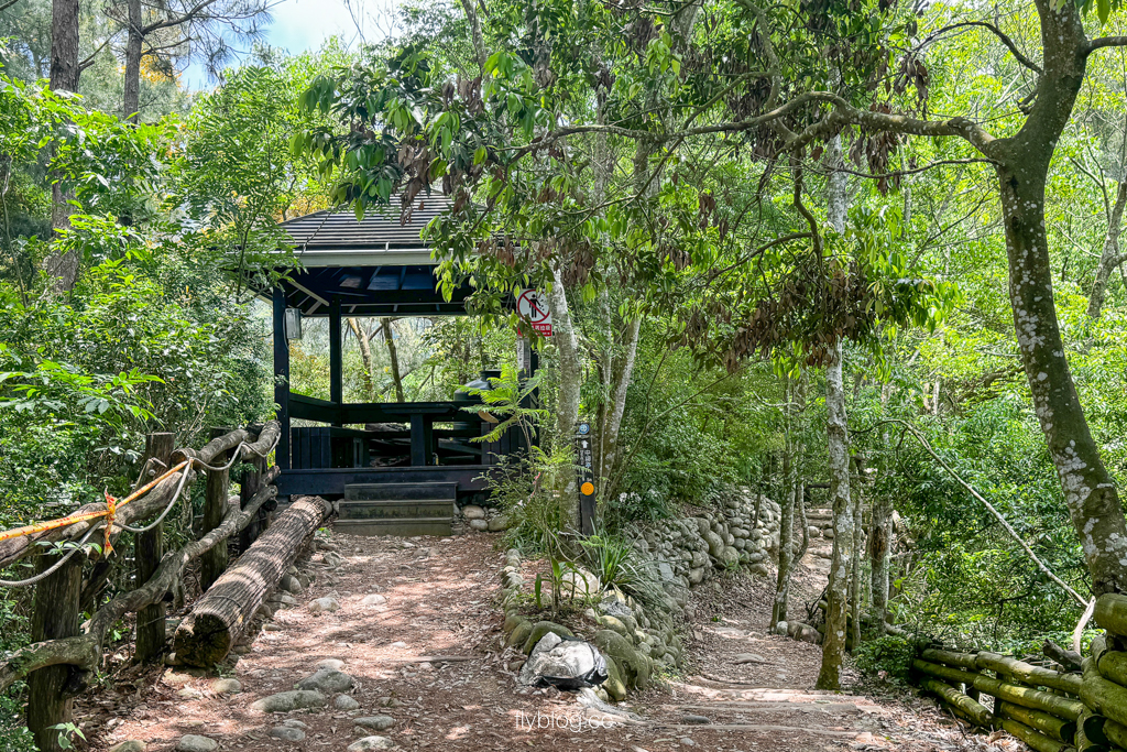台中北屯｜大坑4號登山步道．33公尺繩索橋也太美，不愧為大坑魔王級步道 @飛天璇的口袋