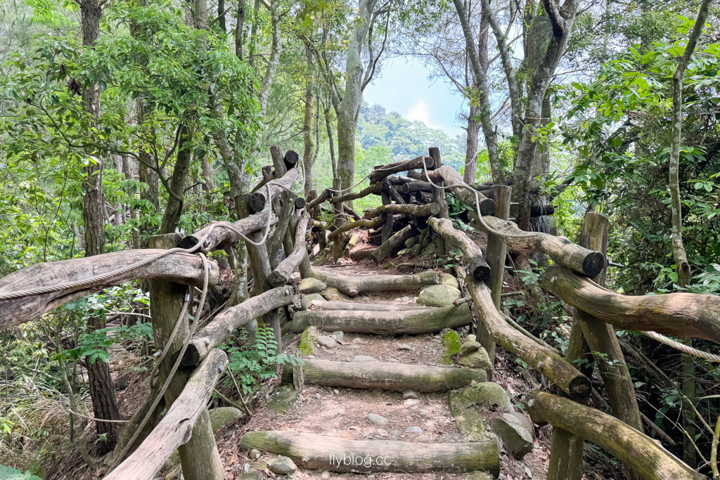 台中北屯｜大坑4號登山步道．33公尺繩索橋也太美，不愧為大坑魔王級步道 @飛天璇的口袋