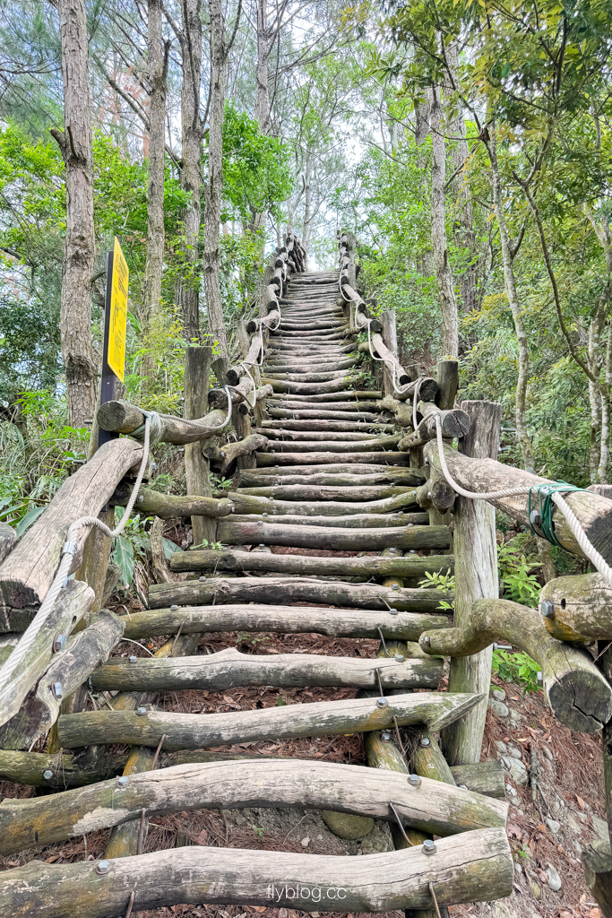 台中北屯｜大坑4號登山步道．33公尺繩索橋也太美，不愧為大坑魔王級步道 @飛天璇的口袋