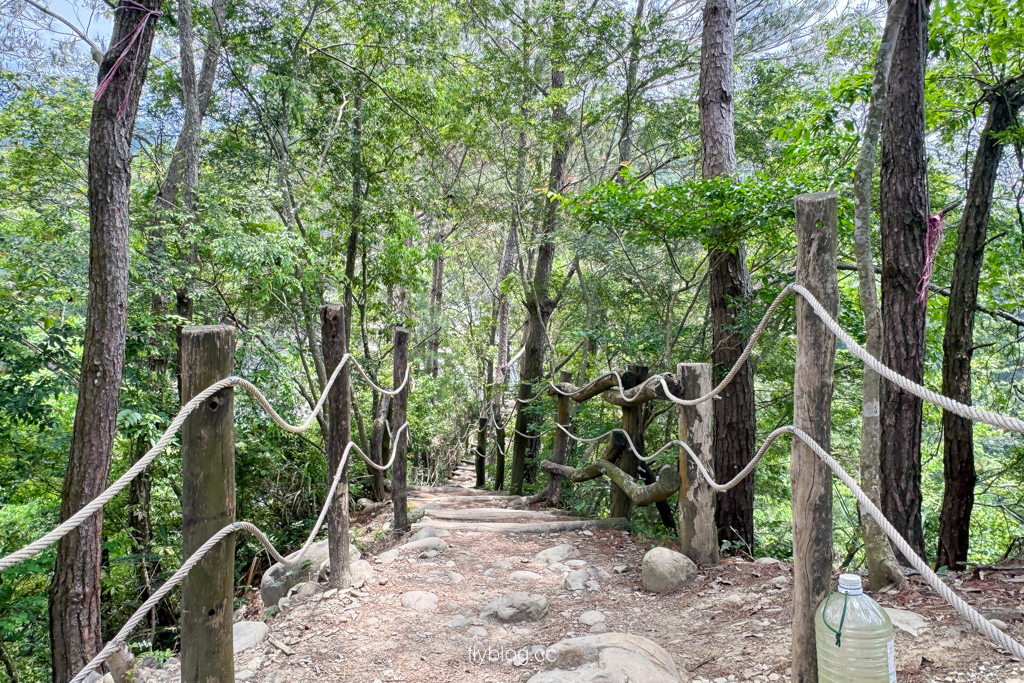 台中北屯｜大坑4號登山步道．33公尺繩索橋也太美，不愧為大坑魔王級步道 @飛天璇的口袋