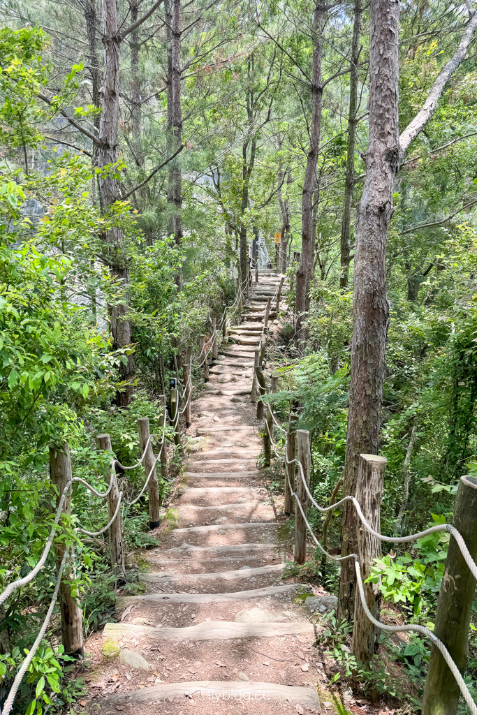 台中北屯｜大坑4號登山步道．33公尺繩索橋也太美，不愧為大坑魔王級步道 @飛天璇的口袋