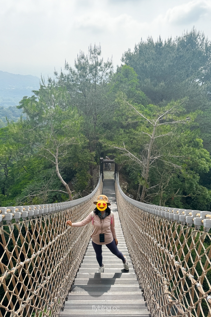 台中北屯｜大坑4號登山步道．33公尺繩索橋也太美，不愧為大坑魔王級步道 @飛天璇的口袋