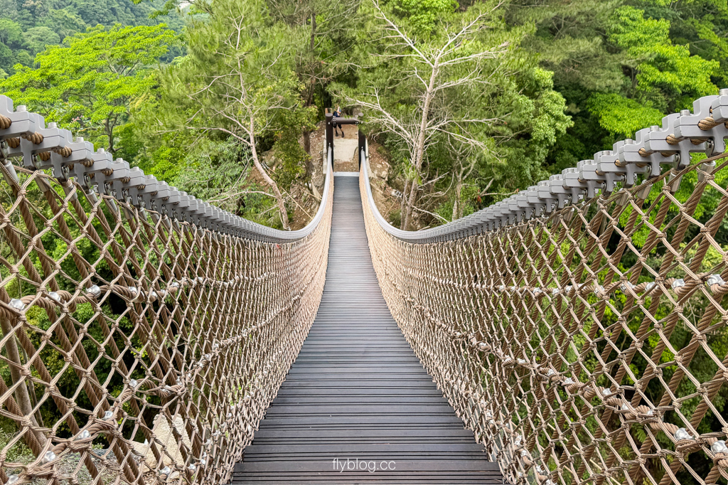台中北屯｜大坑4號登山步道．33公尺繩索橋也太美，不愧為大坑魔王級步道 @飛天璇的口袋