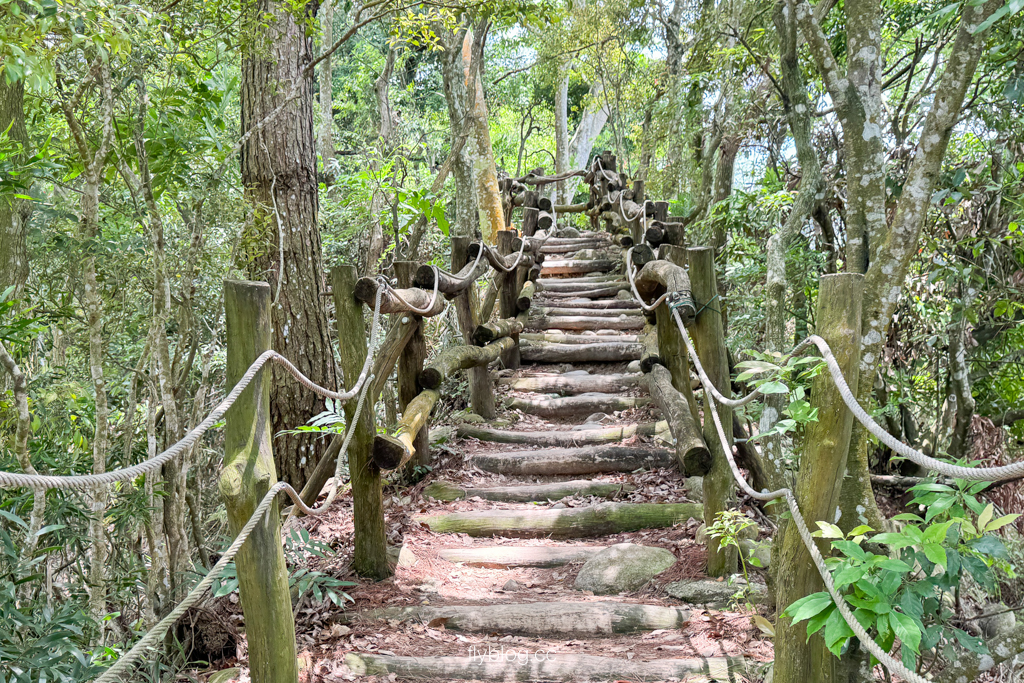 台中北屯｜大坑4號登山步道．33公尺繩索橋也太美，不愧為大坑魔王級步道 @飛天璇的口袋