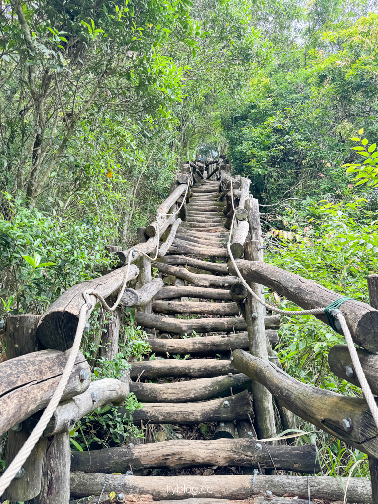 台中北屯｜大坑4號登山步道．33公尺繩索橋也太美，不愧為大坑魔王級步道 @飛天璇的口袋