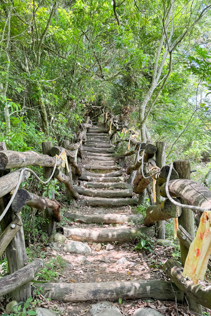 台中北屯｜大坑4號登山步道．33公尺繩索橋也太美，不愧為大坑魔王級步道 @飛天璇的口袋