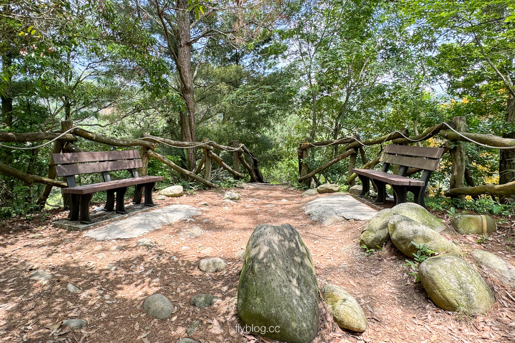 台中北屯｜大坑4號登山步道．33公尺繩索橋也太美，不愧為大坑魔王級步道 @飛天璇的口袋