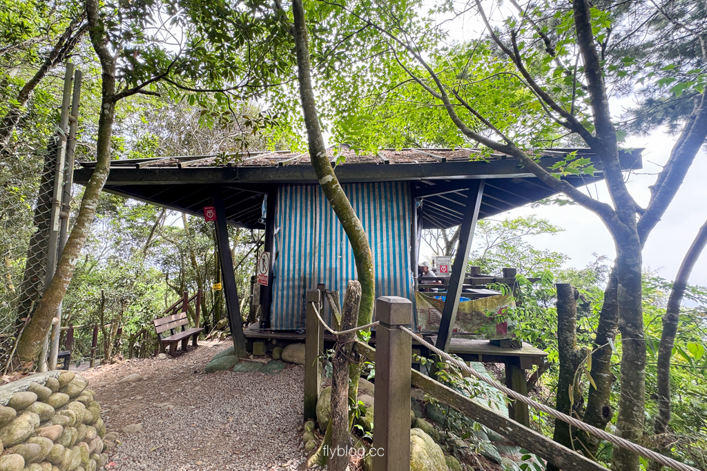 台中北屯｜大坑4號登山步道．33公尺繩索橋也太美，不愧為大坑魔王級步道 @飛天璇的口袋