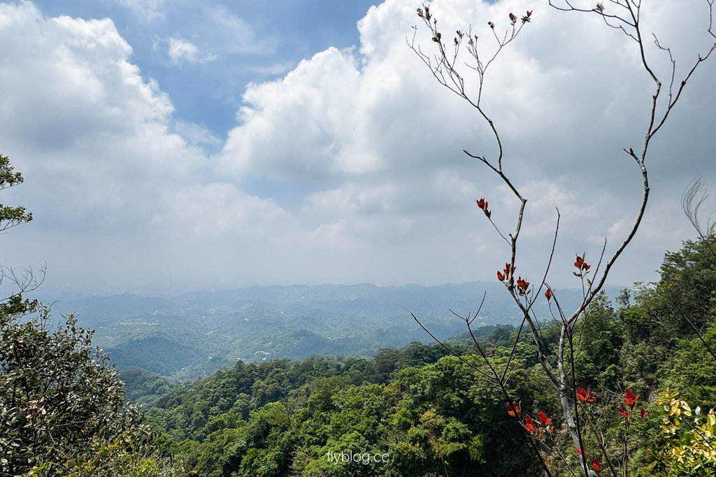 台中北屯｜大坑4號登山步道．33公尺繩索橋也太美，不愧為大坑魔王級步道 @飛天璇的口袋