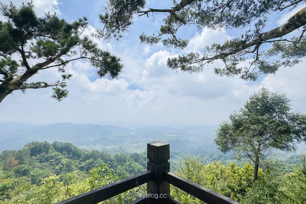 台中北屯｜大坑4號登山步道．33公尺繩索橋也太美，不愧為大坑魔王級步道 @飛天璇的口袋