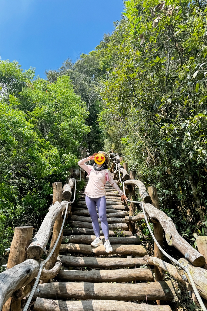 台中北屯｜大坑4號登山步道．33公尺繩索橋也太美，不愧為大坑魔王級步道 @飛天璇的口袋