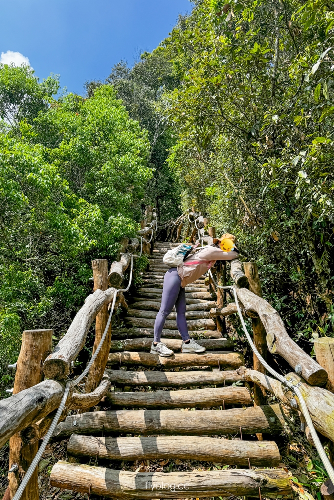 台中北屯｜大坑4號登山步道．33公尺繩索橋也太美，不愧為大坑魔王級步道 @飛天璇的口袋
