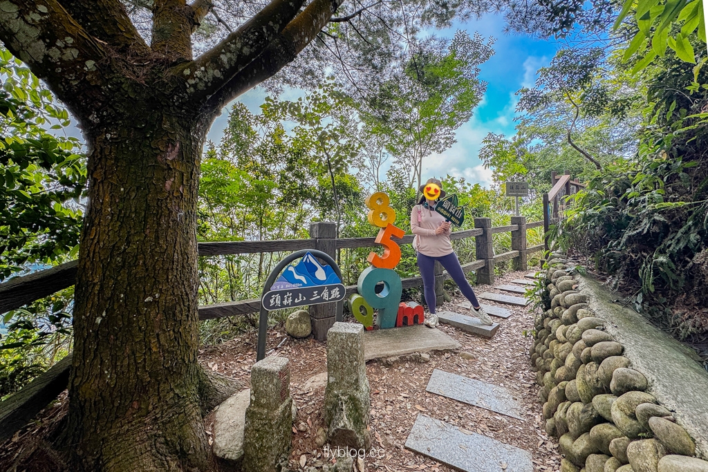 台中北屯｜大坑4號登山步道．33公尺繩索橋也太美，不愧為大坑魔王級步道 @飛天璇的口袋