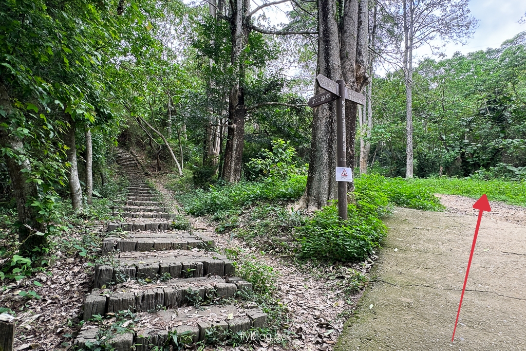 台中太平｜咬人狗坑生態景觀步道．第一步道來回不用兩小時，編號43小百岳三汀山 @飛天璇的口袋