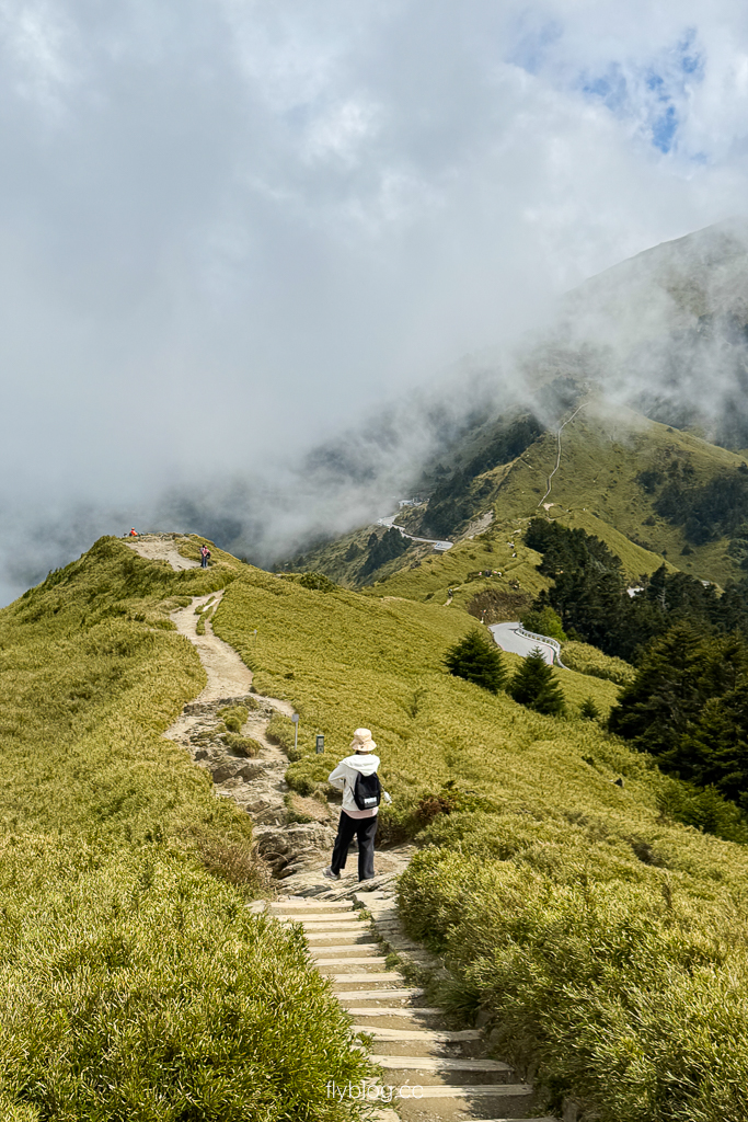 南投仁愛｜合歡山石門山步道．一小時登頂！難度百岳體驗，眺望絕美高山雲海 @飛天璇的口袋