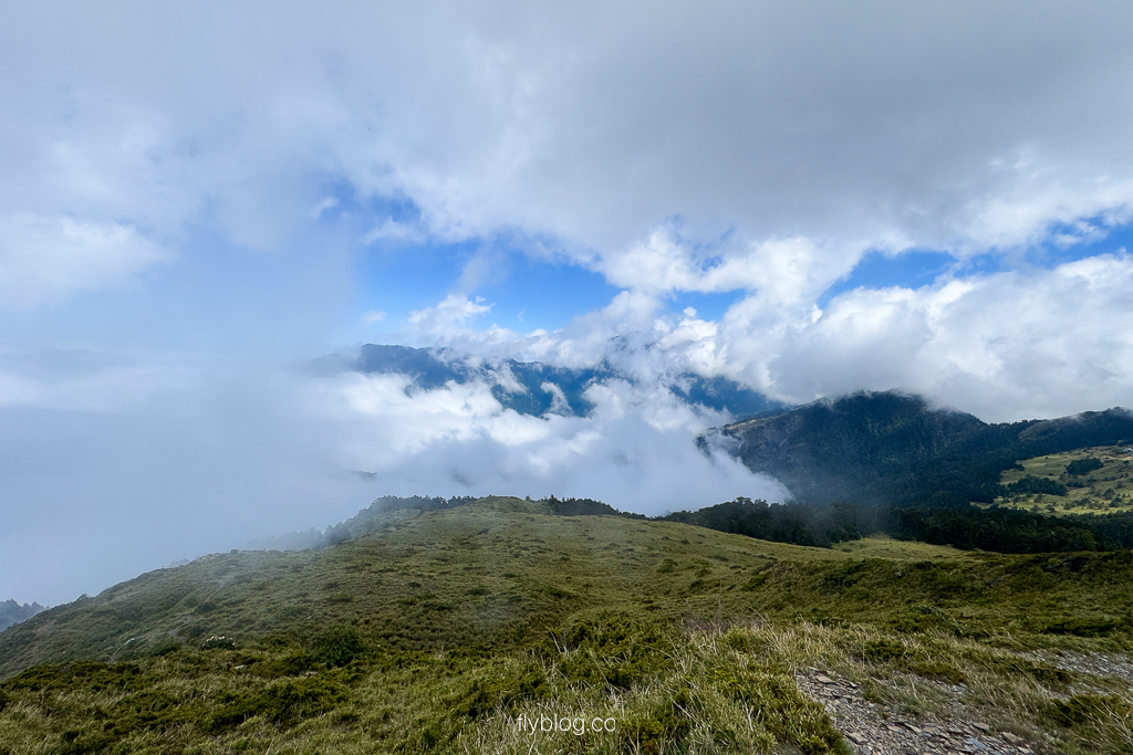 南投仁愛|合歡山石門山步道.一小時登頂!難度百岳體驗,眺望絕美高山雲海 @飛天璇的口袋 南投仁愛|合歡山石門山步道.一小時登頂!難度百岳體驗,眺望絕美高山雲海 @飛天璇的口袋